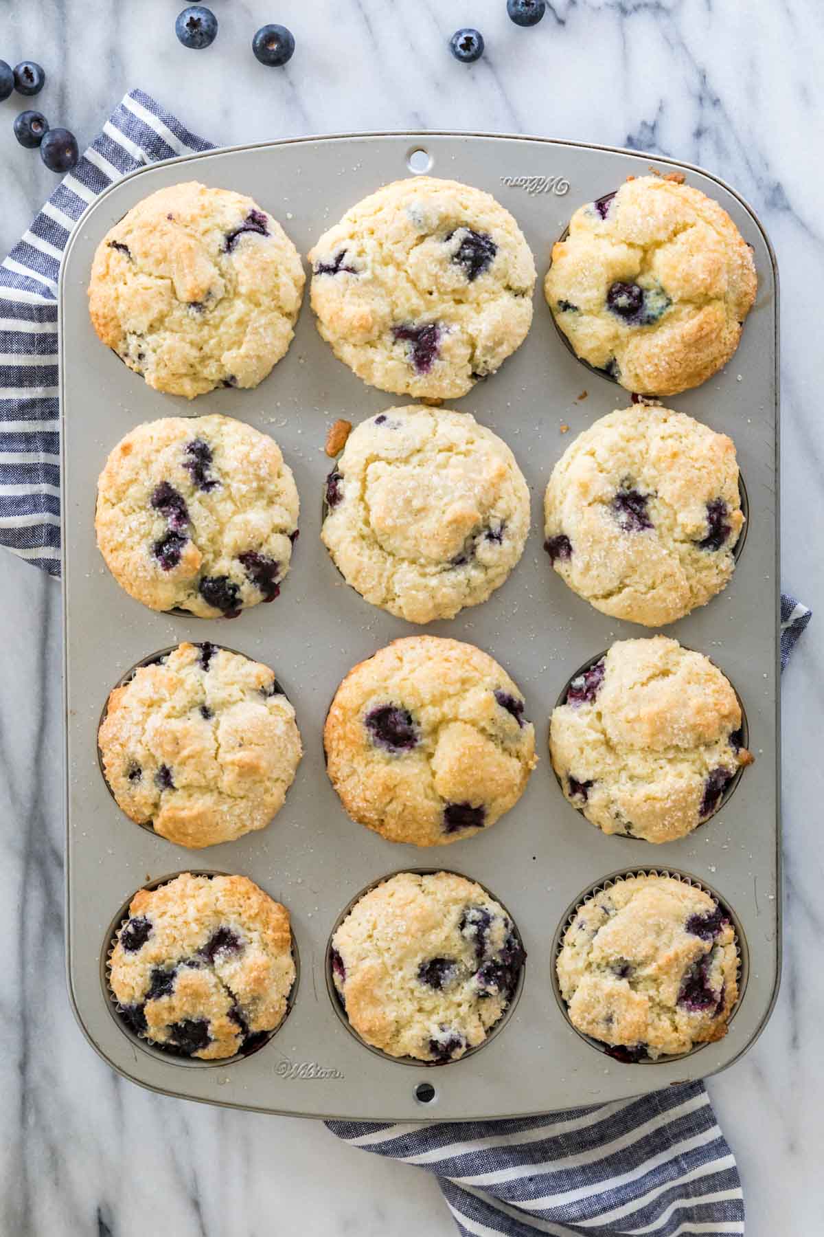 overhead of 12 blueberry muffins in muffin tin
