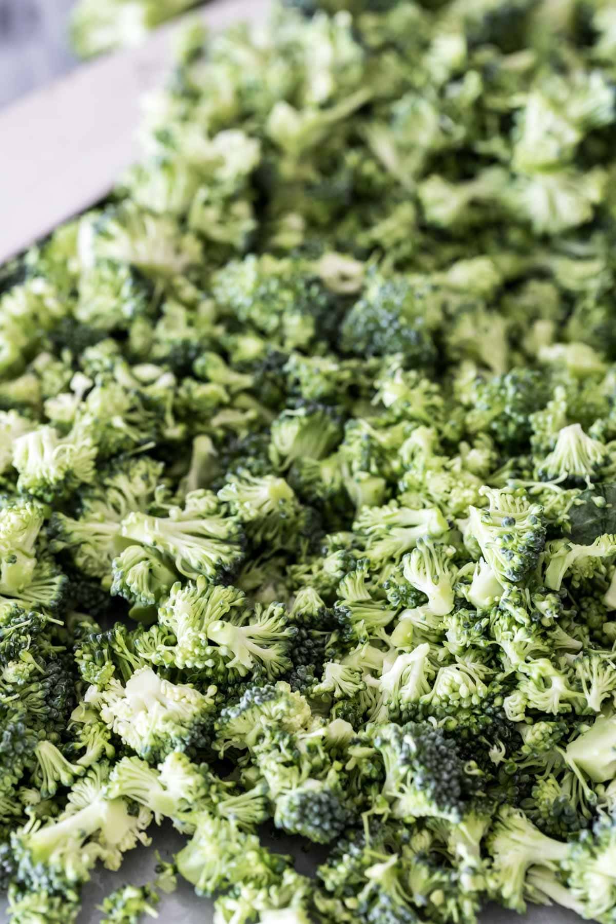Close-up view of chopped broccoli bits.