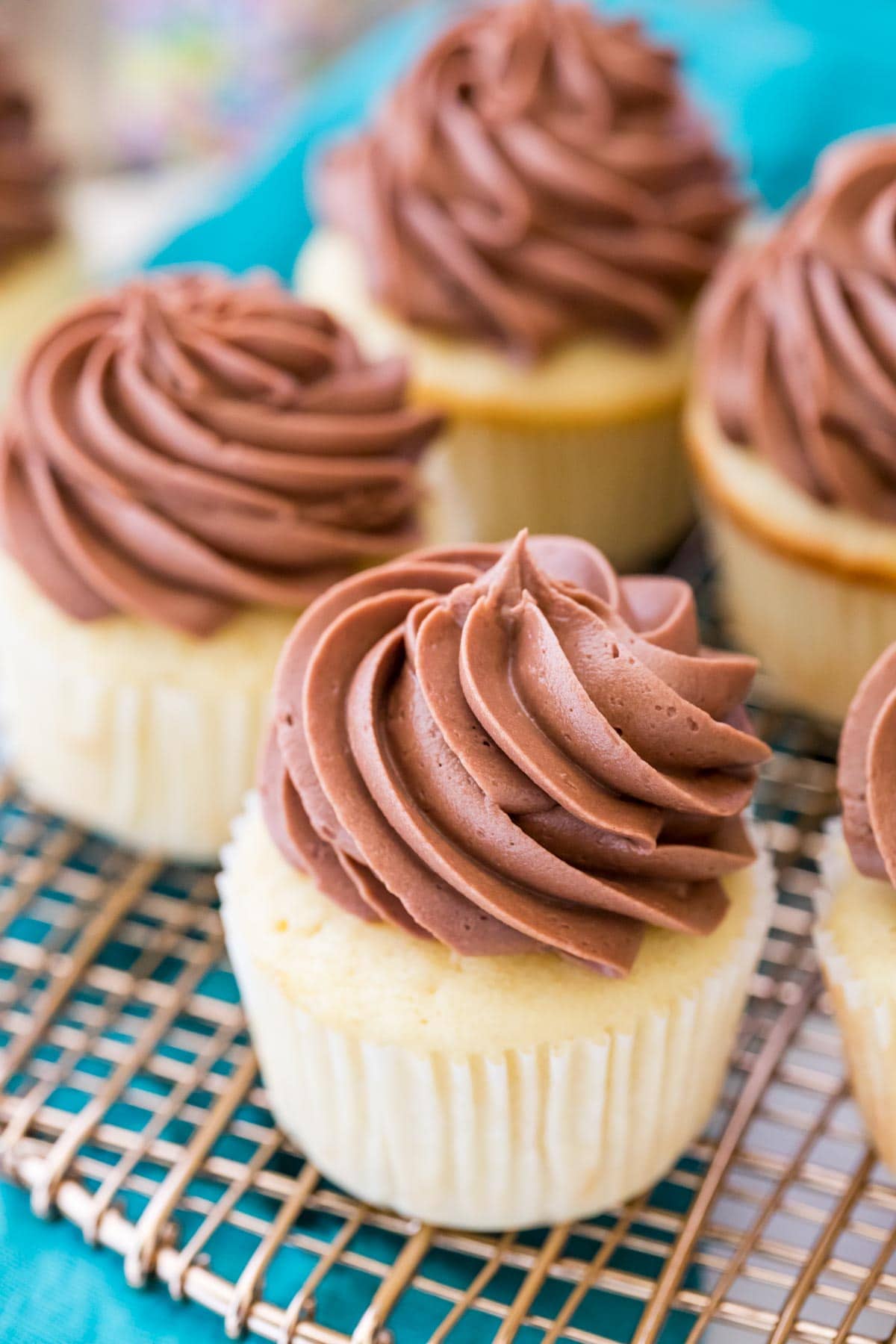 Vanilla cupcakes topped with chocolate frosting.