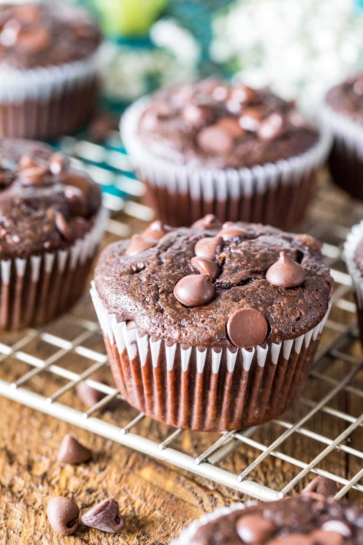 Chocolate zucchini muffins topped with chocolate chips on a metal cooling rack.