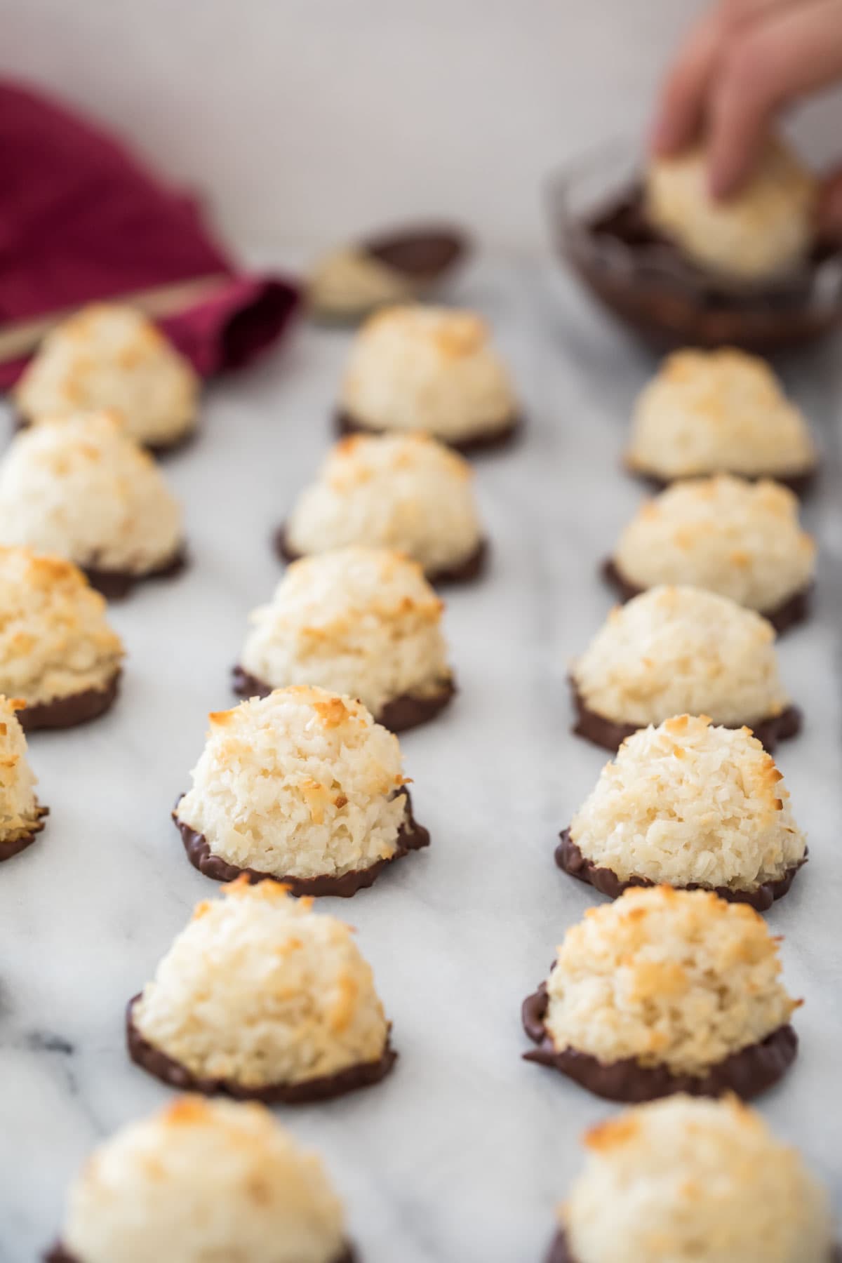 rows of chocolate dipped coconut macaroons