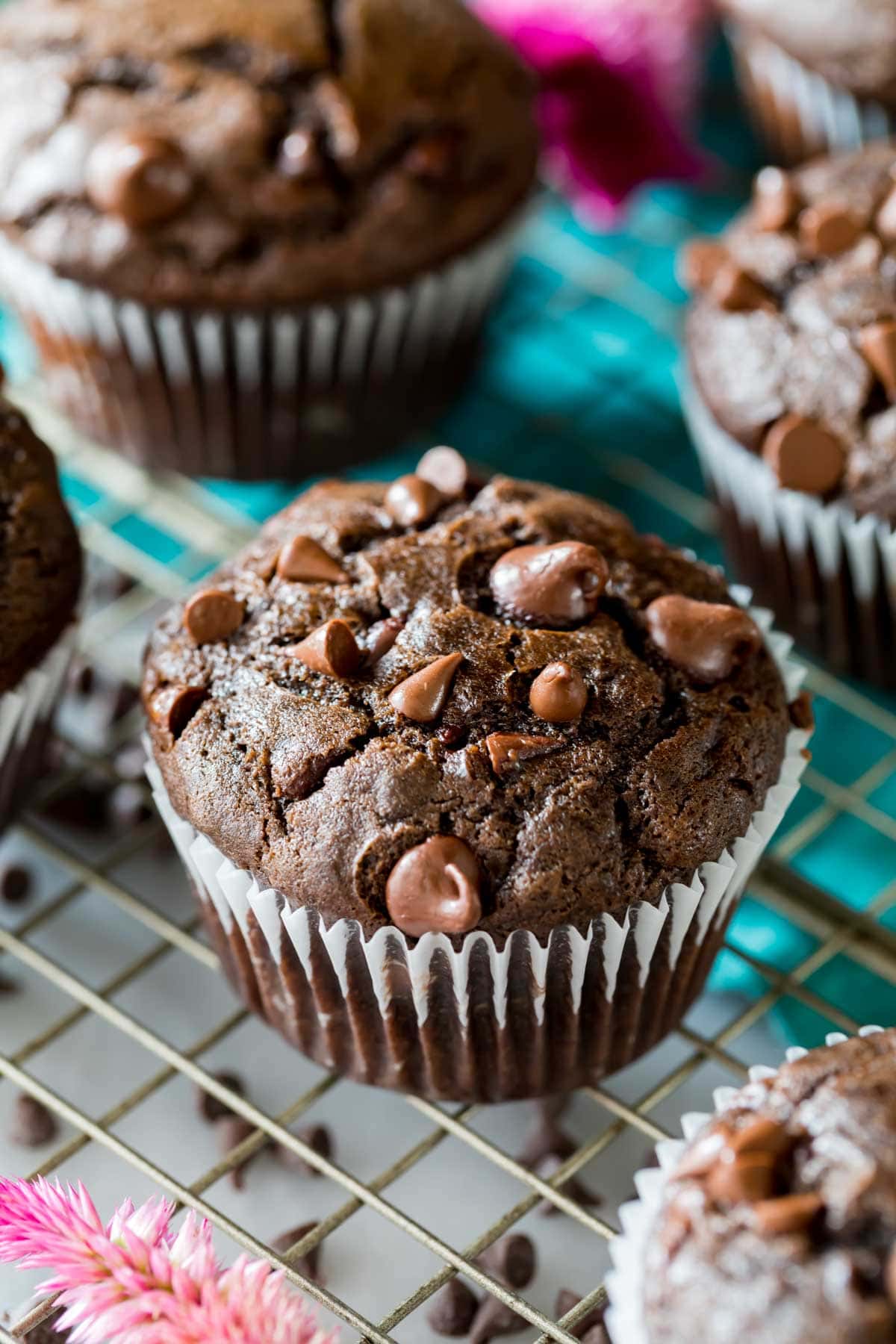 Close-up overhead view of a chocolate muffin with chocolate chips on a cooling rack.