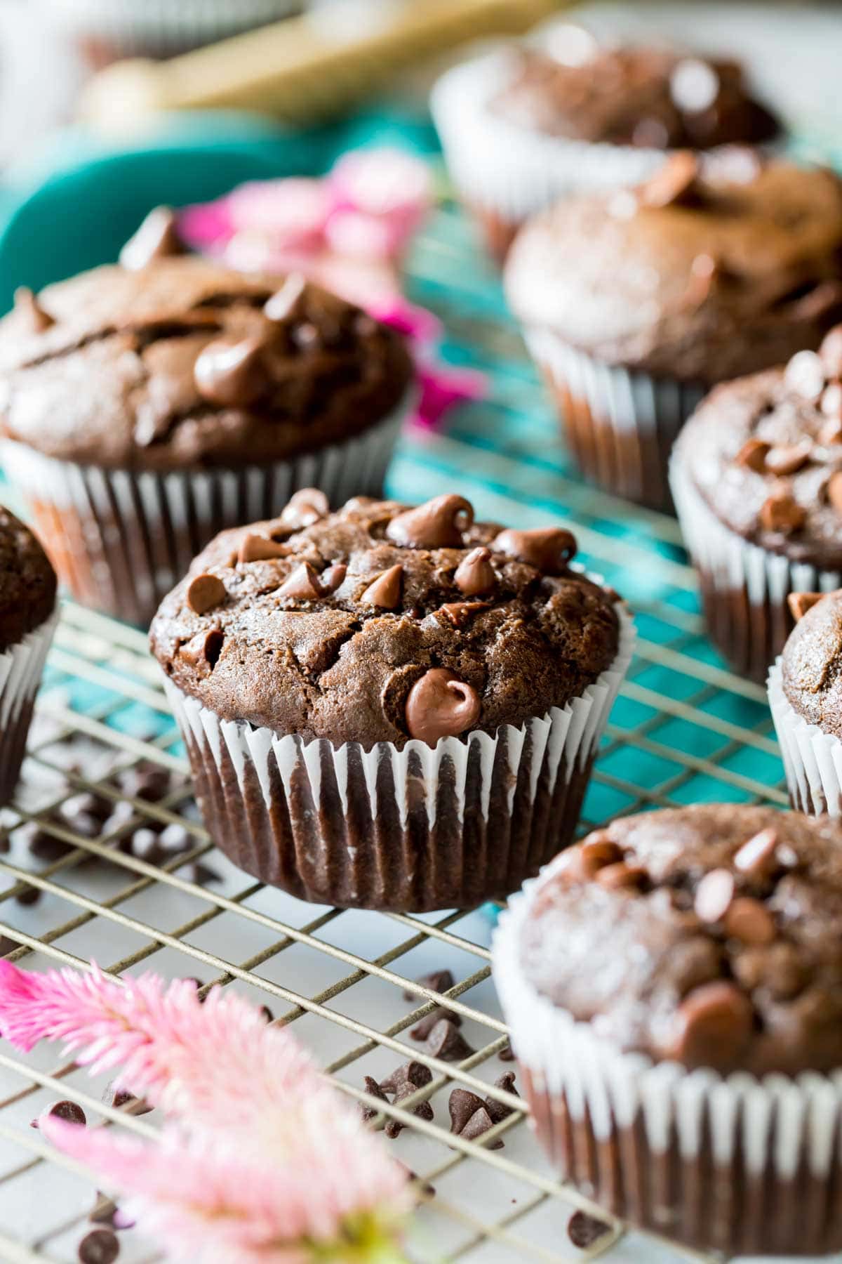 Chocolate muffins studded with chocolate chip tops resting on a cooling rack.