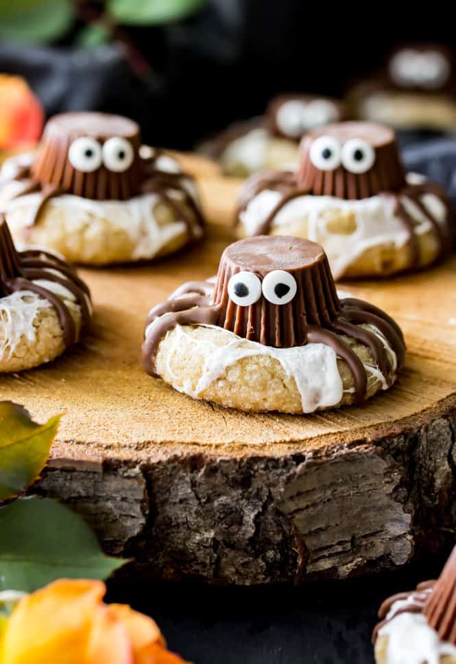 Halloween spider cookies on tree stump