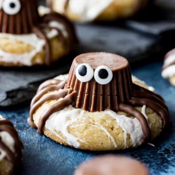 Halloween spider cookie