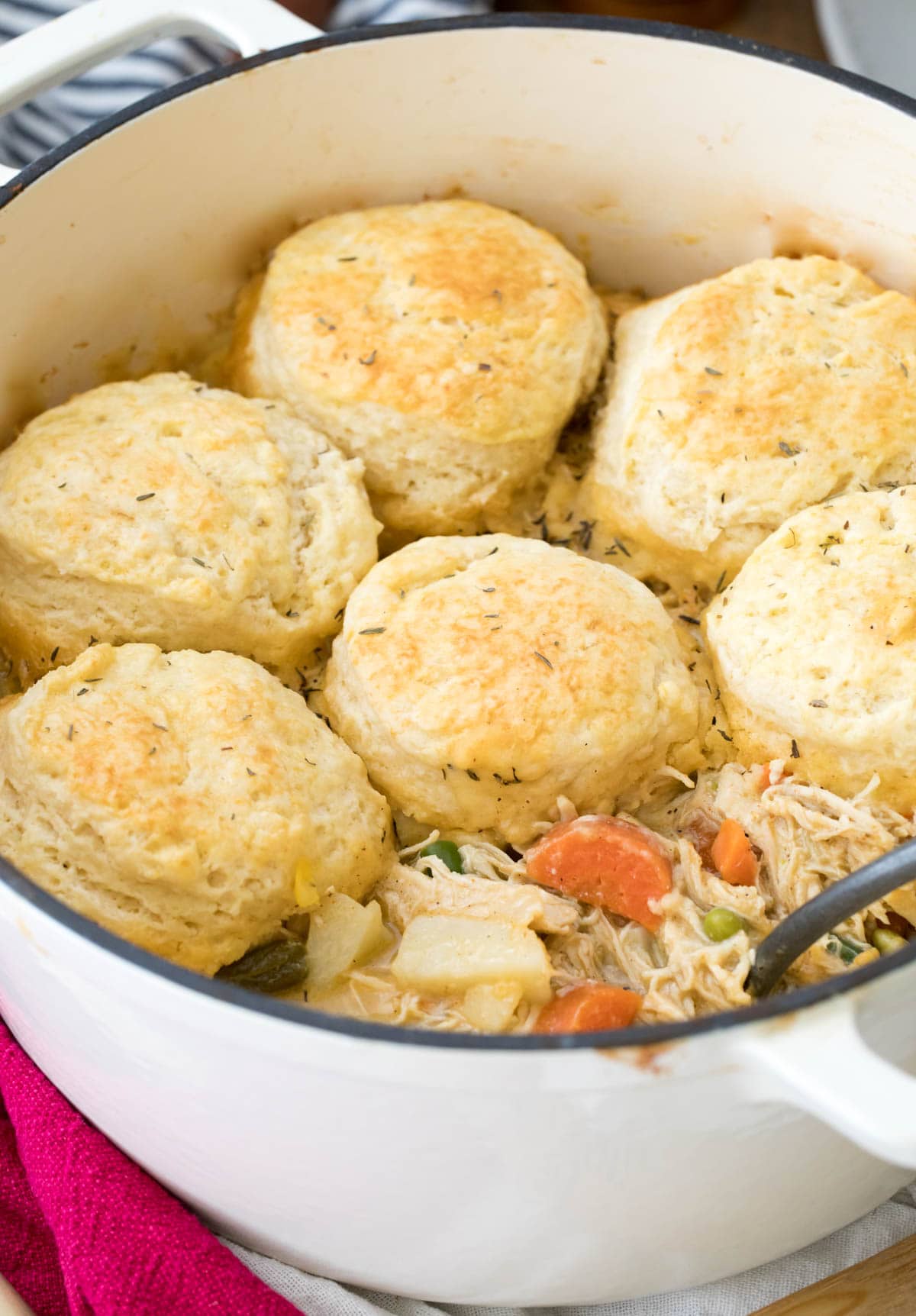 chicken pot pie with biscuits sitting in large dutch oven