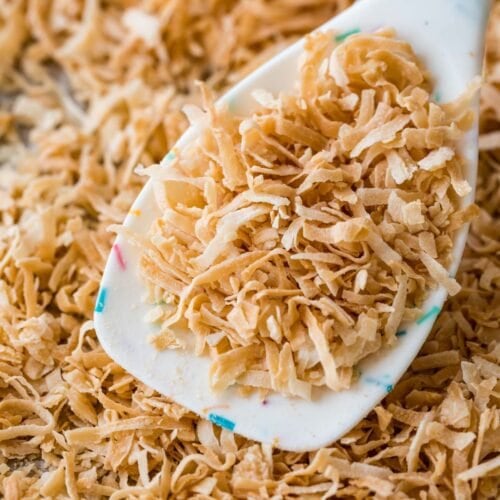 spoon scooping toasted coconut