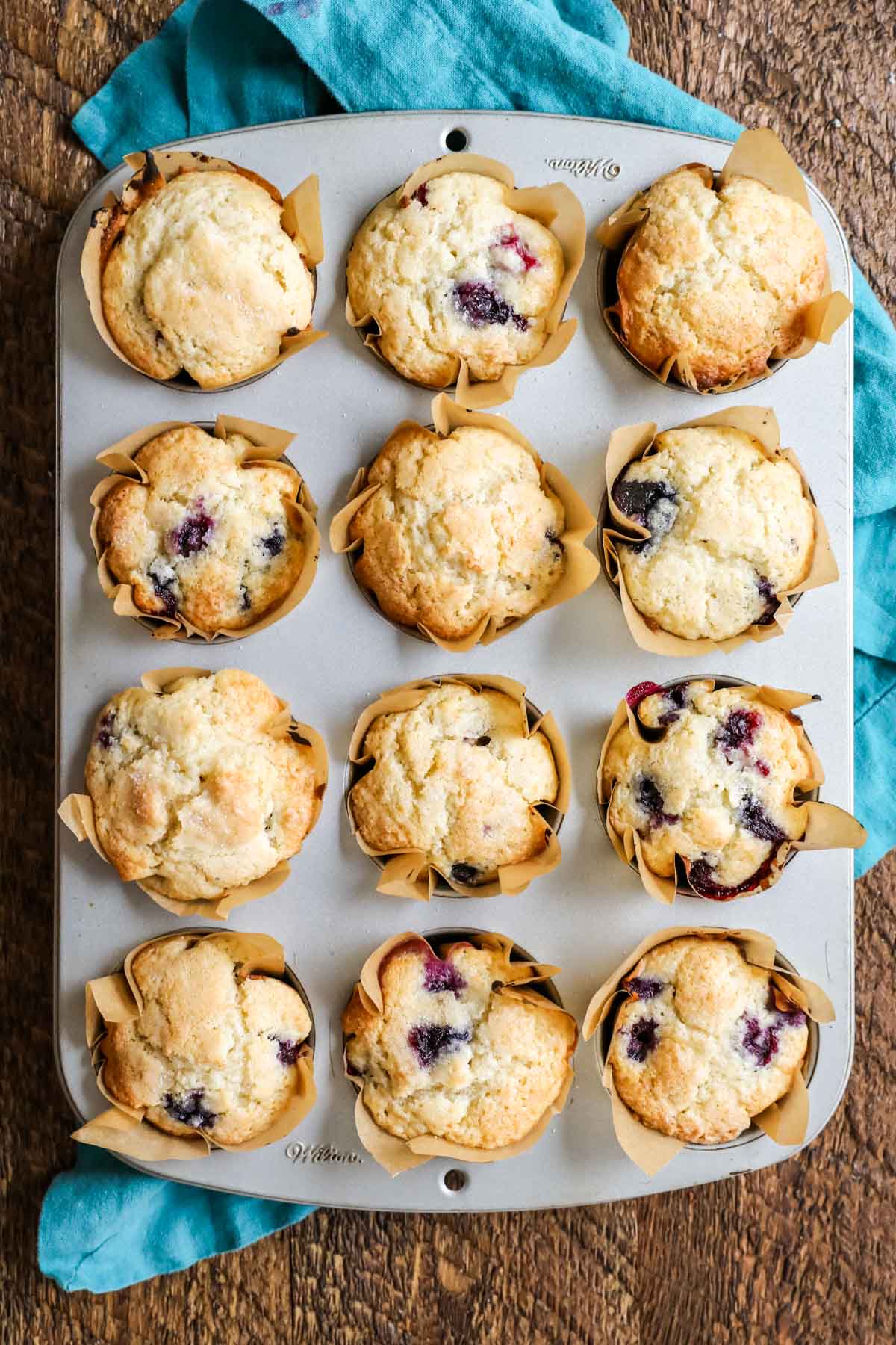 Overhead view of a tray of blueberry muffins in parchment liners after baking.