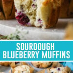 collage of sourdough blueberry muffins, top image is a close up of single muffin with bite taken out, bottom image of muffins in muffin tin baked with parchment paper liners